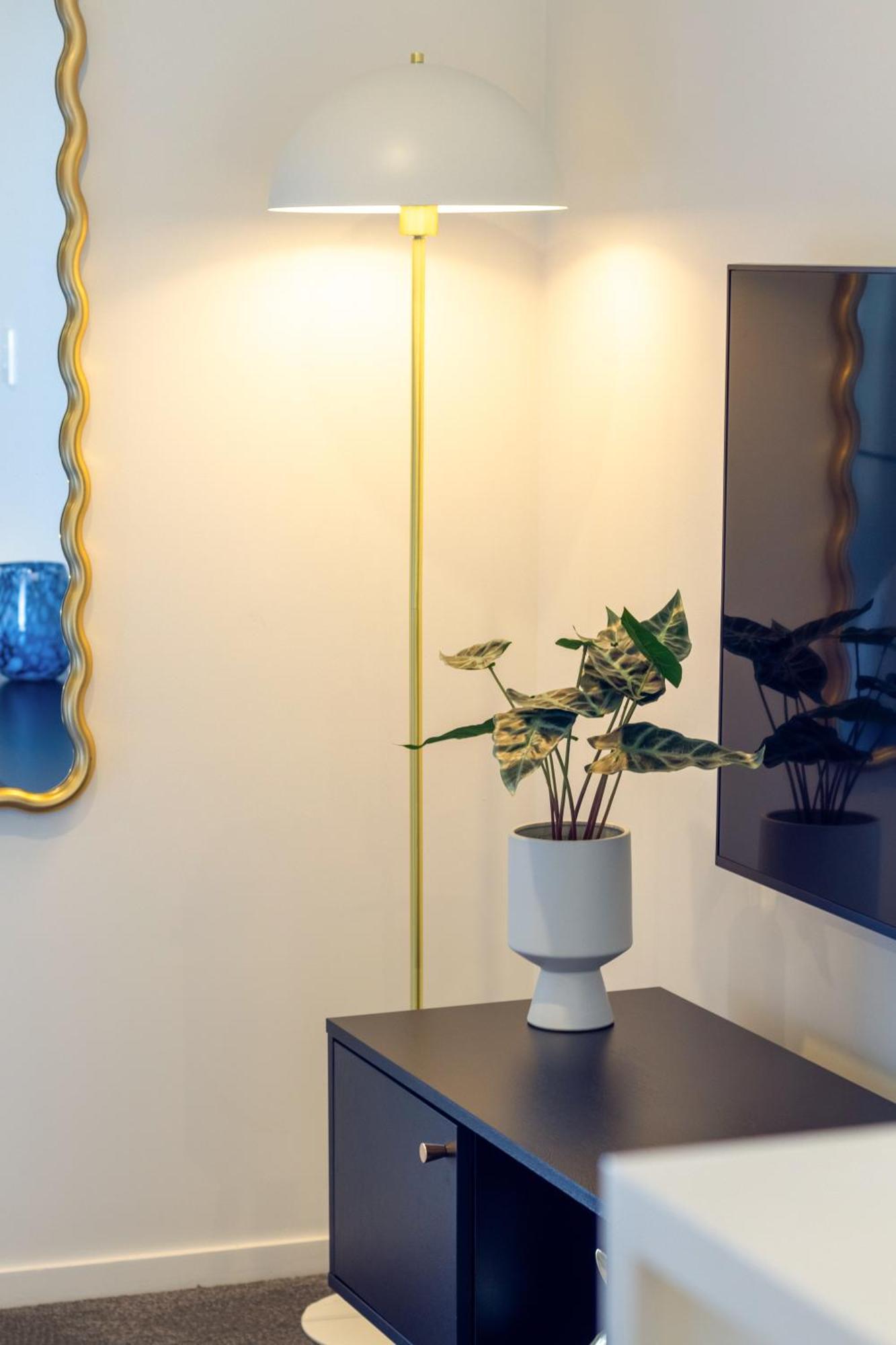 Explore From 8 Wilmer: Upper Level Cozy Studio Christchurch Exterior photo